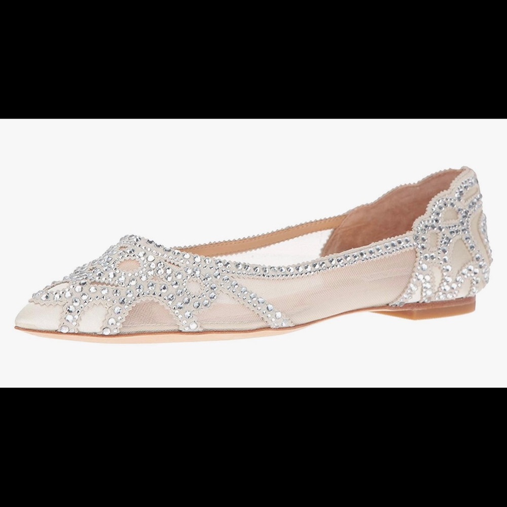 Brand new without tags beautiful Badgley Mischka